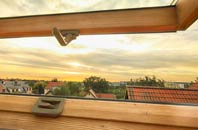 rated Reston roof window companies